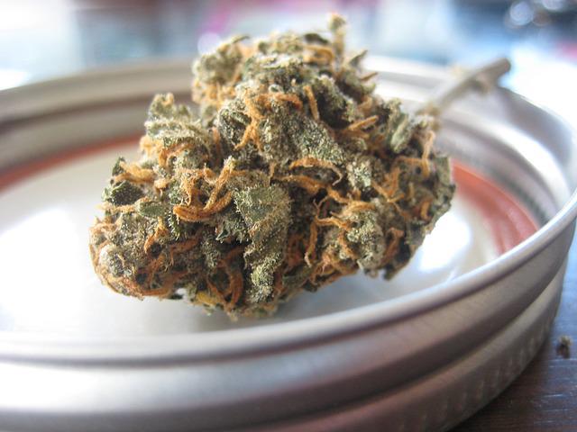 Meilleur CBD