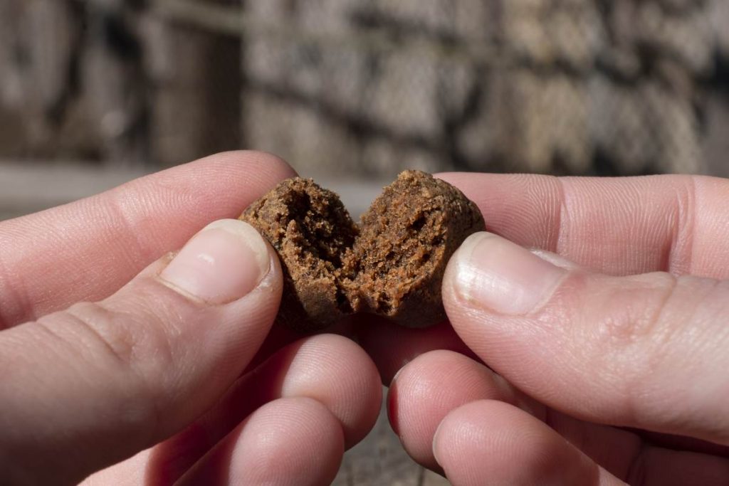 cbd hash